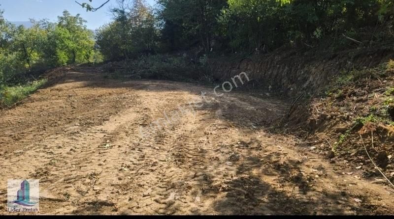 İnegöl Kıran Mh 875 M2 Satılık Tarla