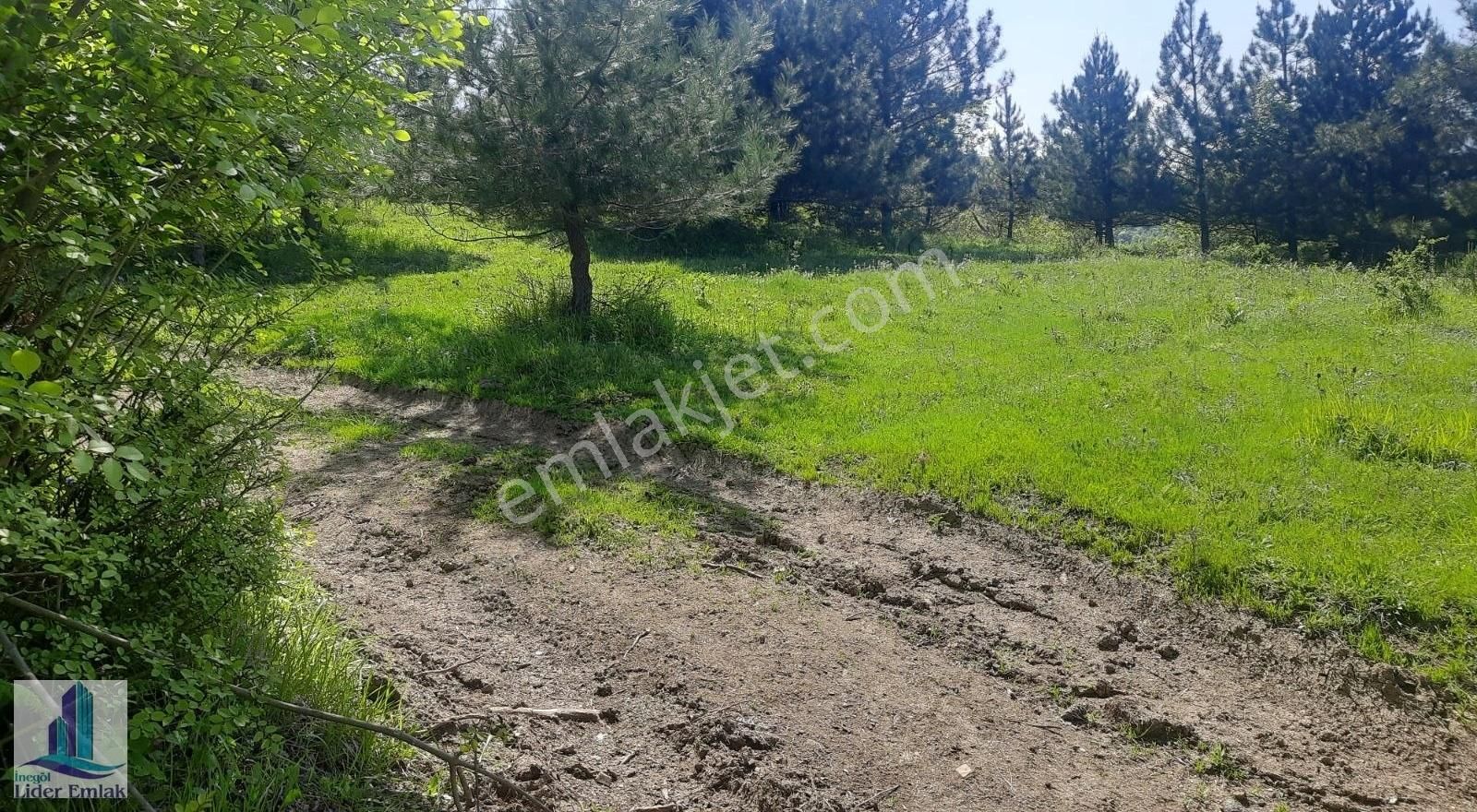 Bursa İnegöl Hocaköy Mh 2800 M2 Satılık Tarla