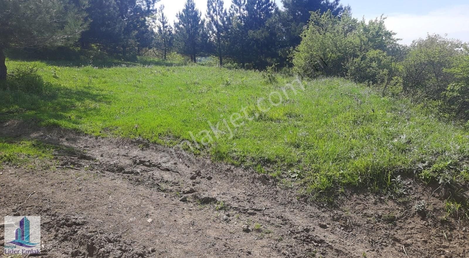 Bursa İnegöl Hocaköy Mh 2800 M2 Satılık Tarla - Görsel 5