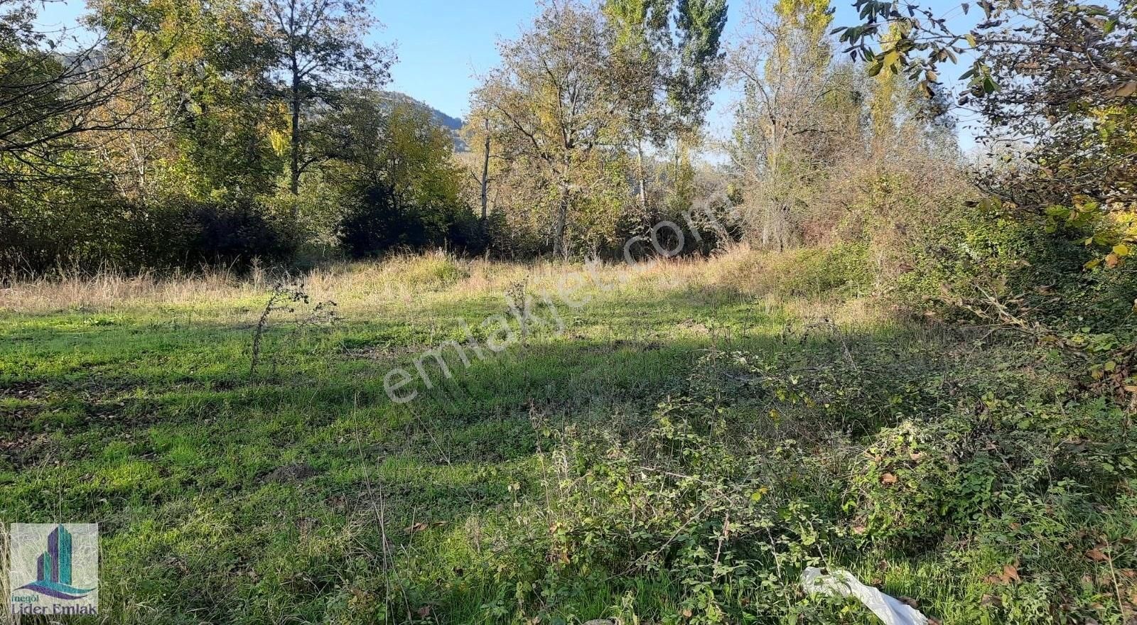 Bursa İnegöl Hocaköy Mh 2800 M2 Satılık Tarla - Görsel 10