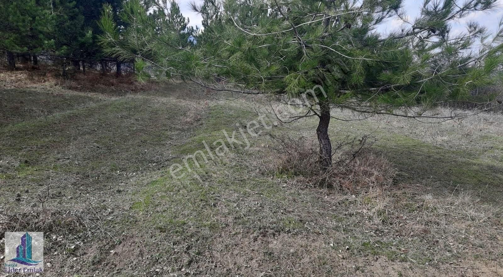 Bursa İnegöl Hocaköy Mh 2800 M2 Satılık Tarla - Görsel 7