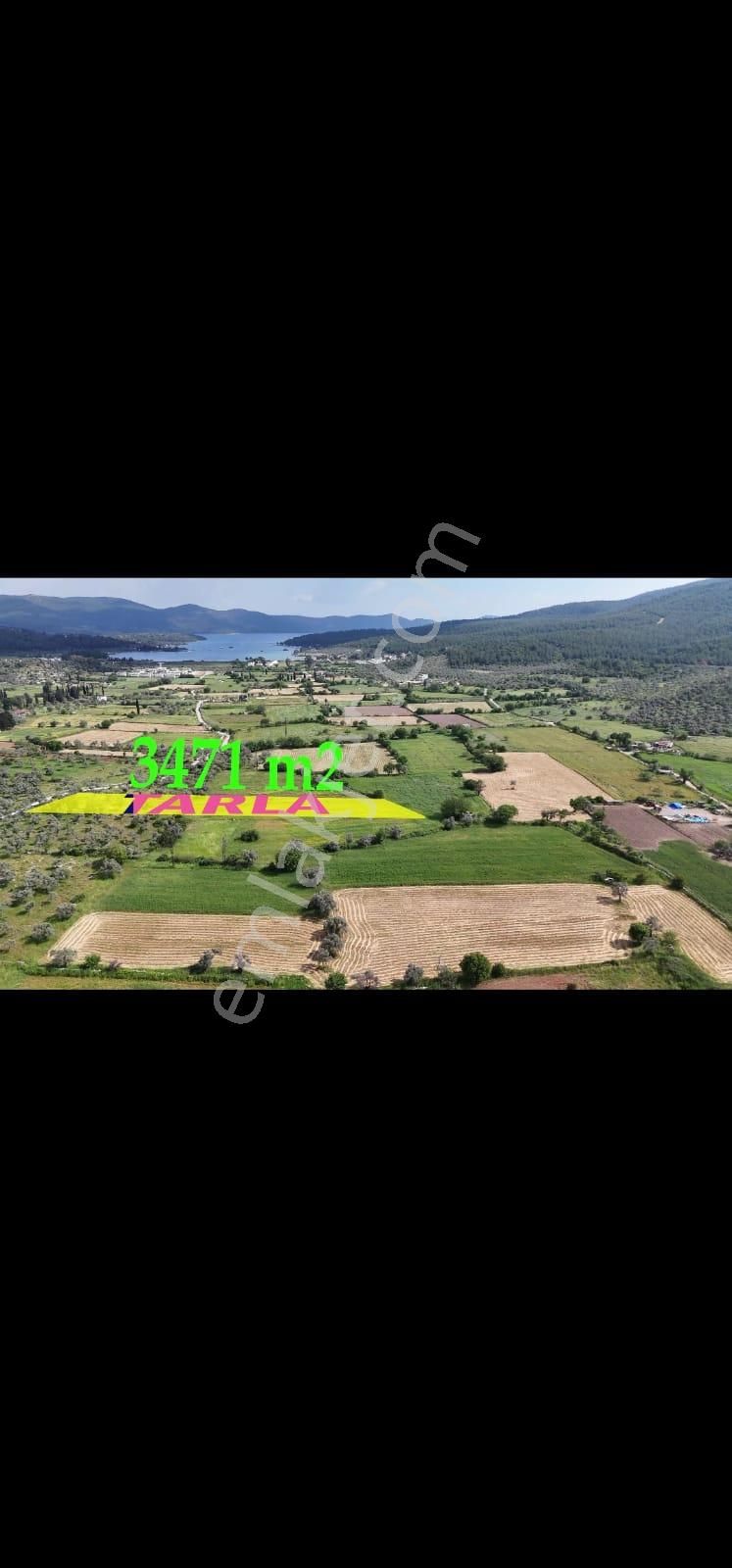 Milas Kazıklı'da Denize 800 M Mesafede 3.471 M² Tarla - Görsel 2
