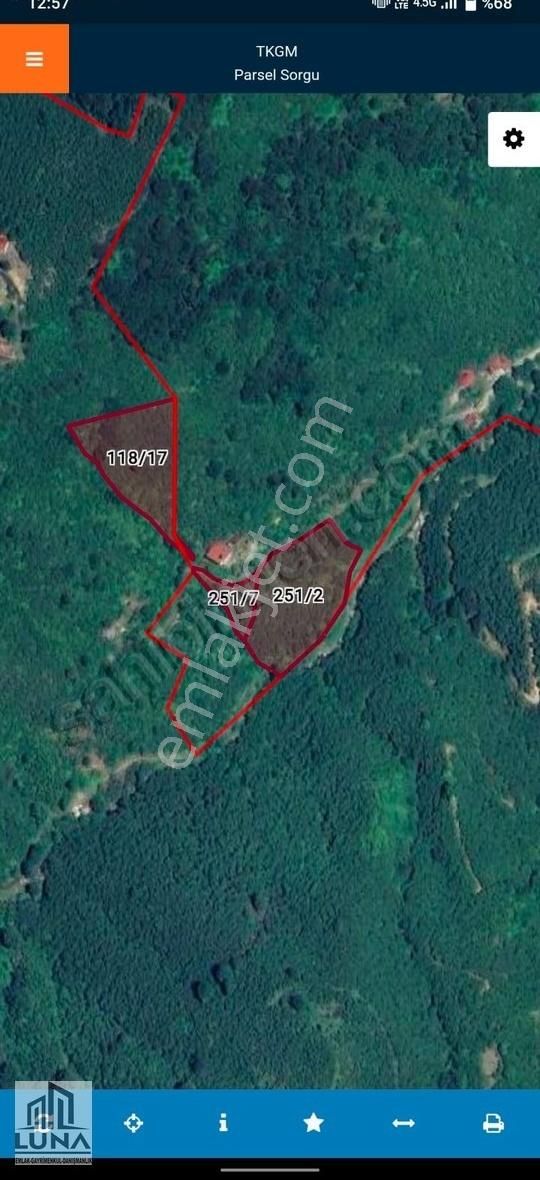 Luna'dan Evci Yahyalı (terme-samsun)satılık Fındık Bahçesi