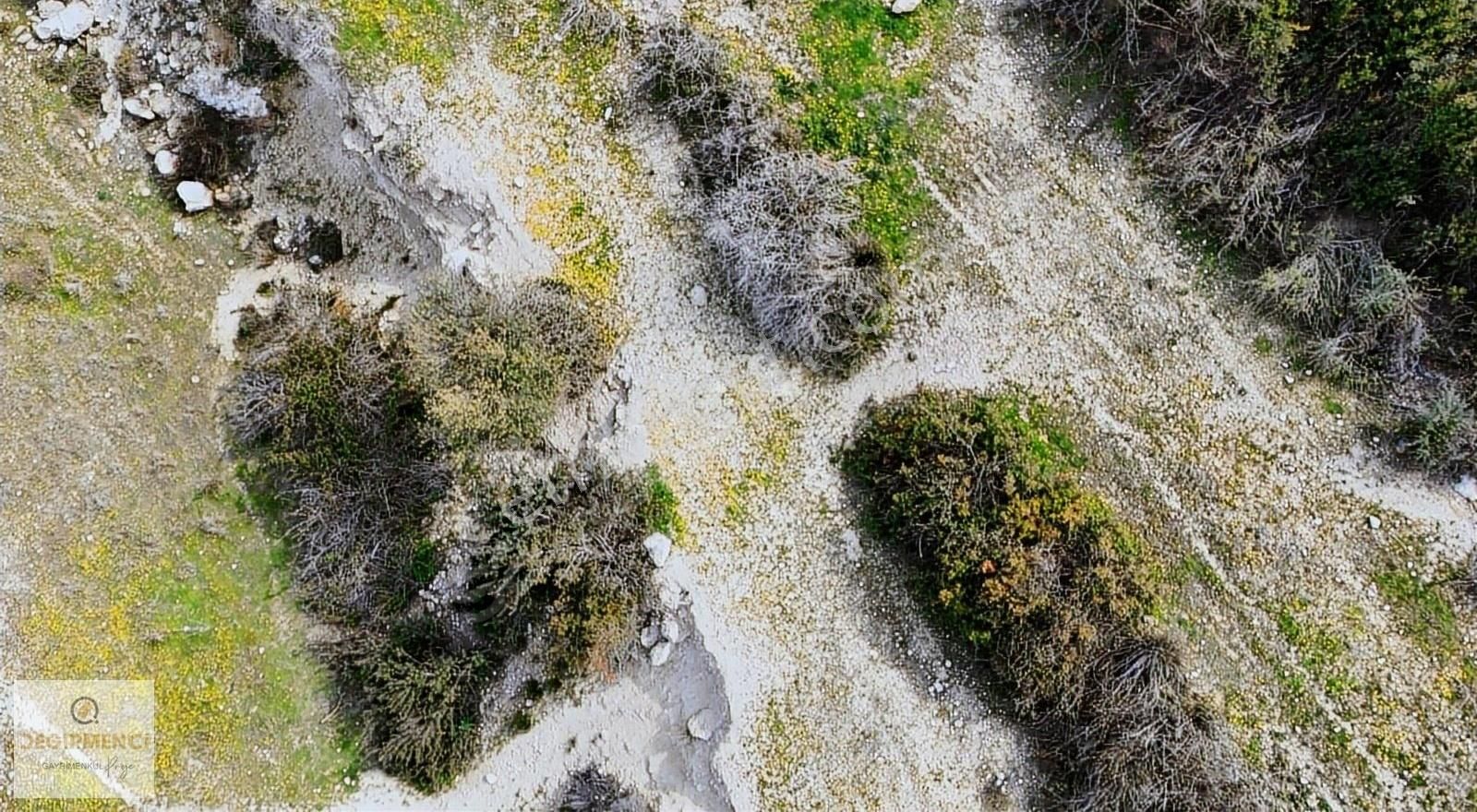 Değirmenciden Tekke Köyünde 19897m2 Bağ Bahçe Müstakil Tapulu - Görsel 26