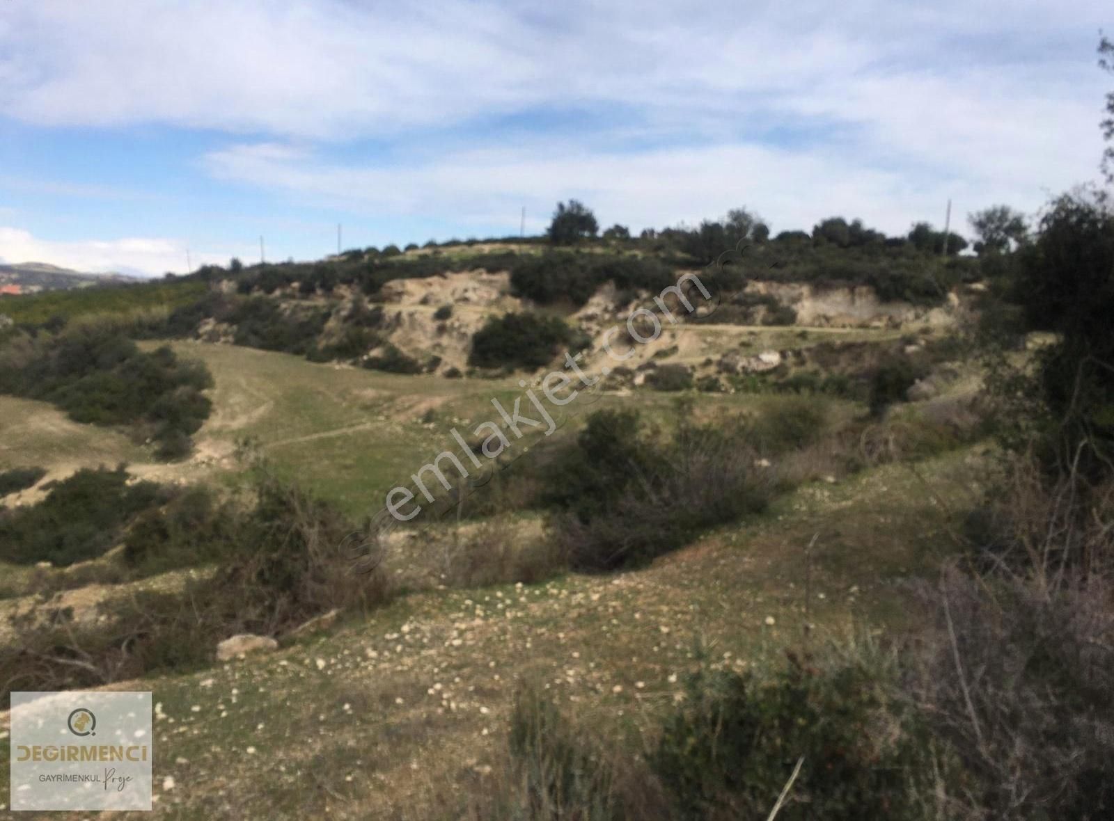 Değirmenciden Tekke Köyünde 19897m2 Bağ Bahçe Müstakil Tapulu - Görsel 17