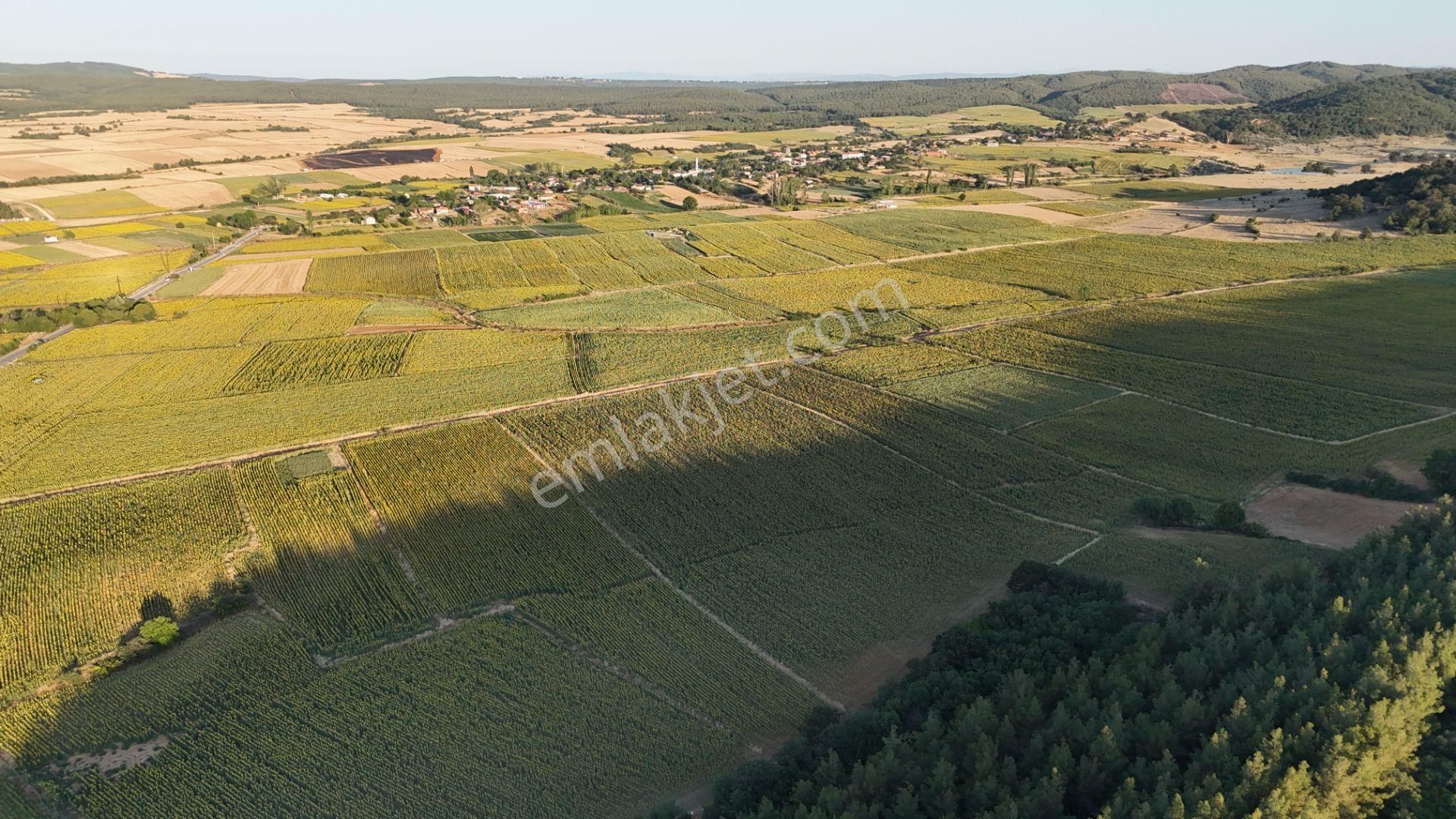 Ege Emlak'tan Şabanmera Köyünde Yatırımlık 17.460 M2 Tarla