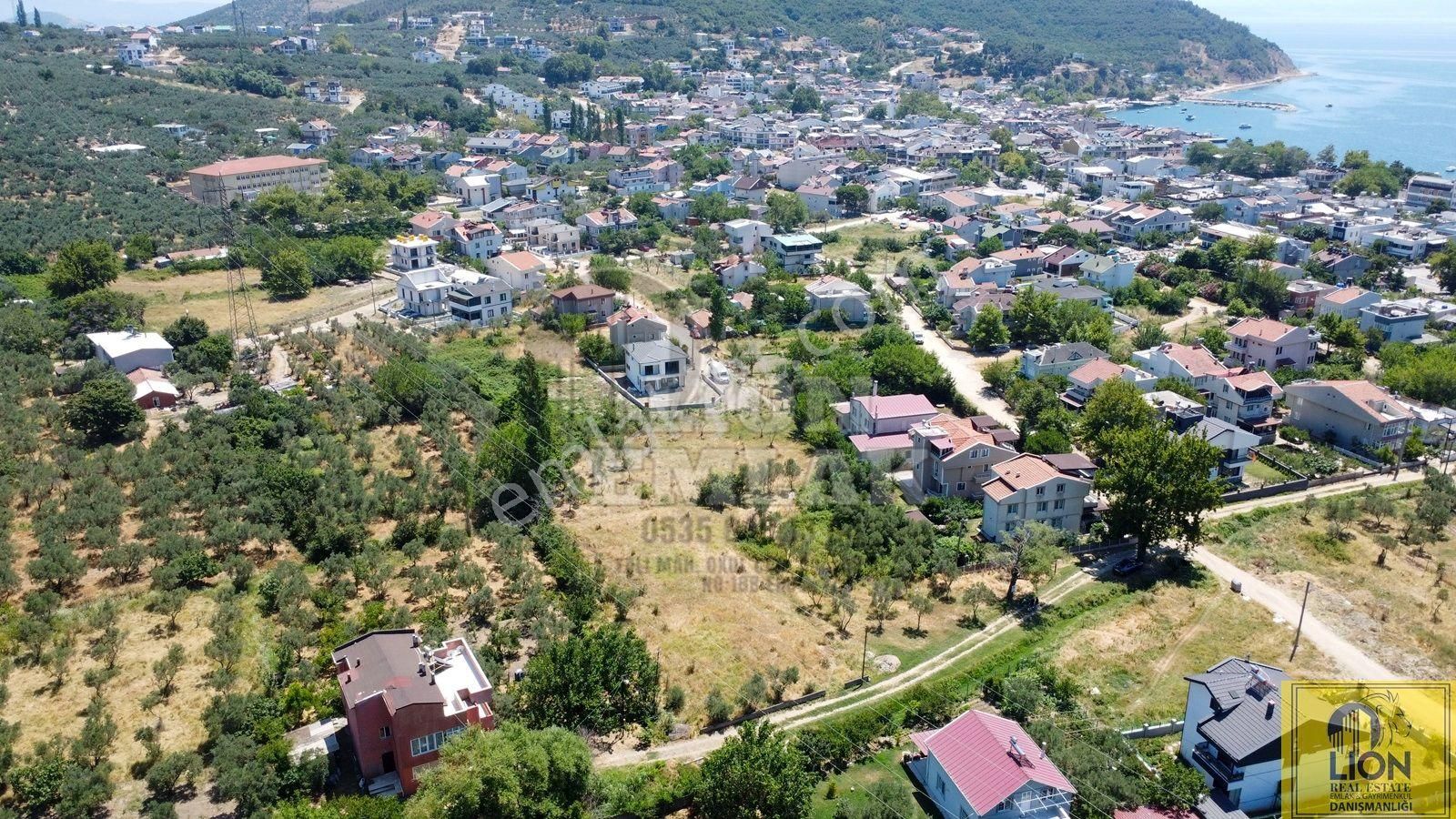 🟨⬛lıon Emlak'tan Erdek Ocaklar Mahallesinde Kadastro Yoluna Cephe 2.050m² Satılık Zeytinlik⬛🟨 - Görsel 20