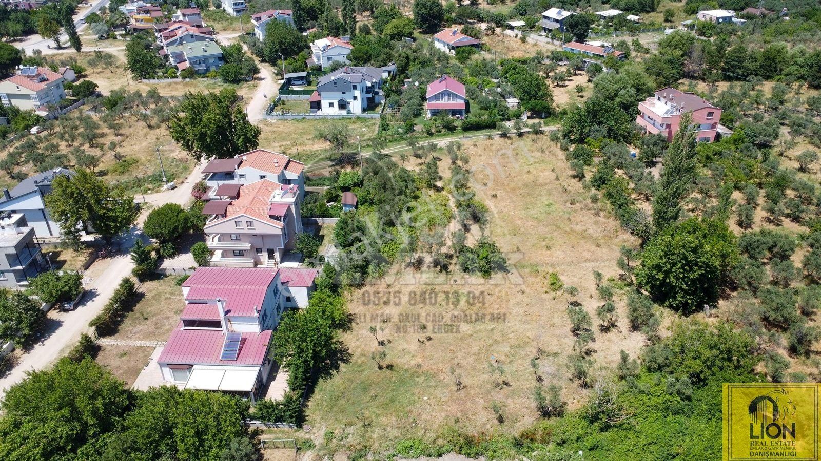 🟨⬛lıon Emlak'tan Erdek Ocaklar Mahallesinde Kadastro Yoluna Cephe 2.050m² Satılık Zeytinlik⬛🟨 - Görsel 10
