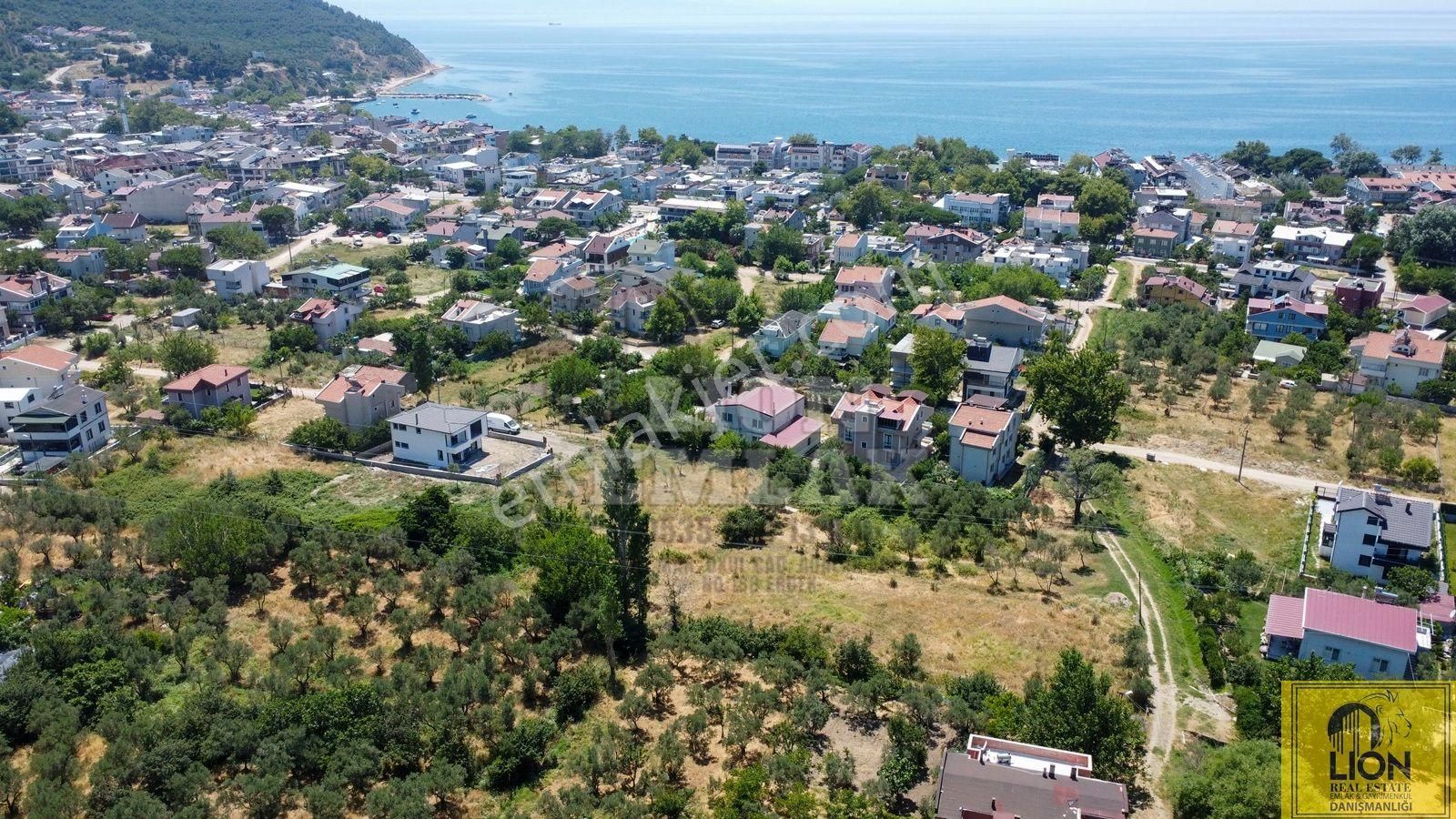 🟨⬛lıon Emlak'tan Erdek Ocaklar Mahallesinde Kadastro Yoluna Cephe 2.050m² Satılık Zeytinlik⬛🟨 - Görsel 17