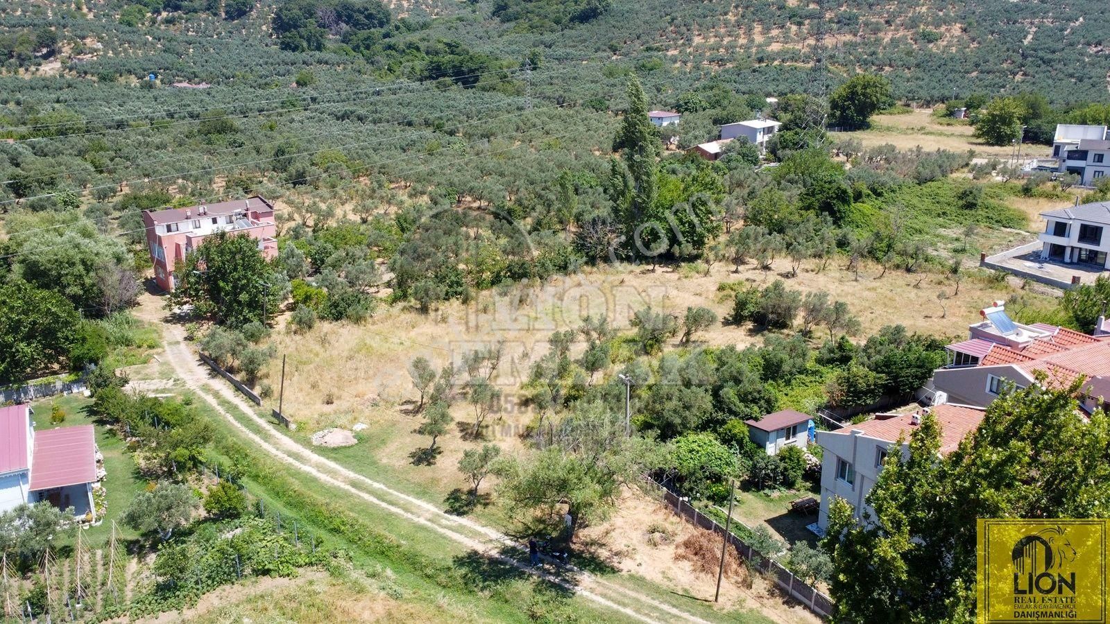 🟨⬛lıon Emlak'tan Erdek Ocaklar Mahallesinde Kadastro Yoluna Cephe 2.050m² Satılık Zeytinlik⬛🟨 - Görsel 5