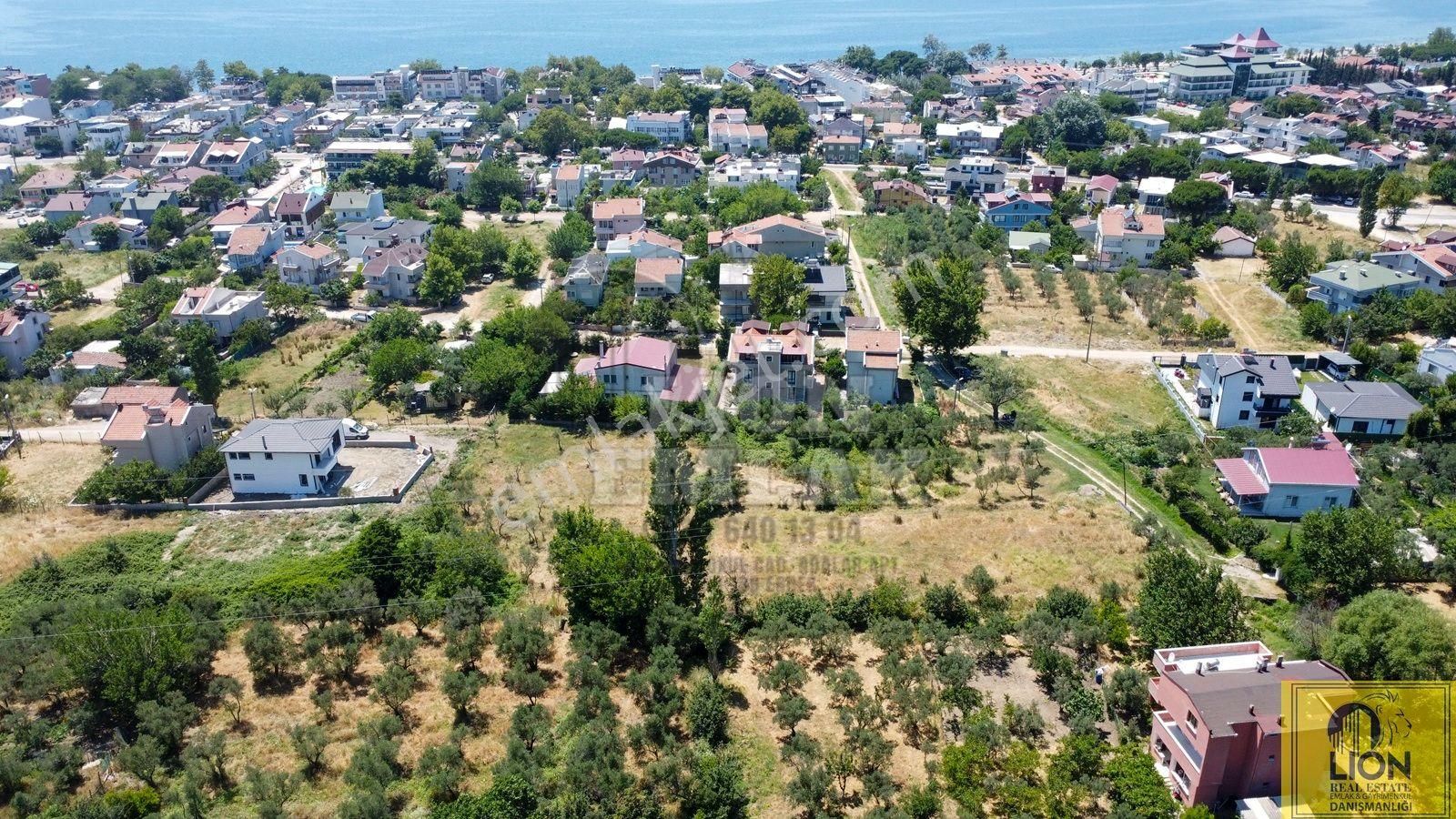 🟨⬛lıon Emlak'tan Erdek Ocaklar Mahallesinde Kadastro Yoluna Cephe 2.050m² Satılık Zeytinlik⬛🟨 - Görsel 15