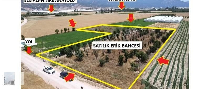 Mk Emlak'ta Bayralar Mah. 4.375 M2 Satılık Erik Bahçesi - Görsel 2