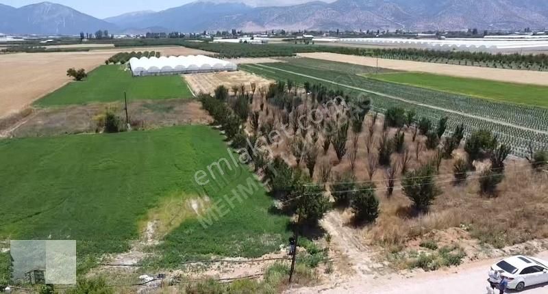 Mk Emlak'ta Bayralar Mah. 4.375 M2 Satılık Erik Bahçesi - Görsel 7