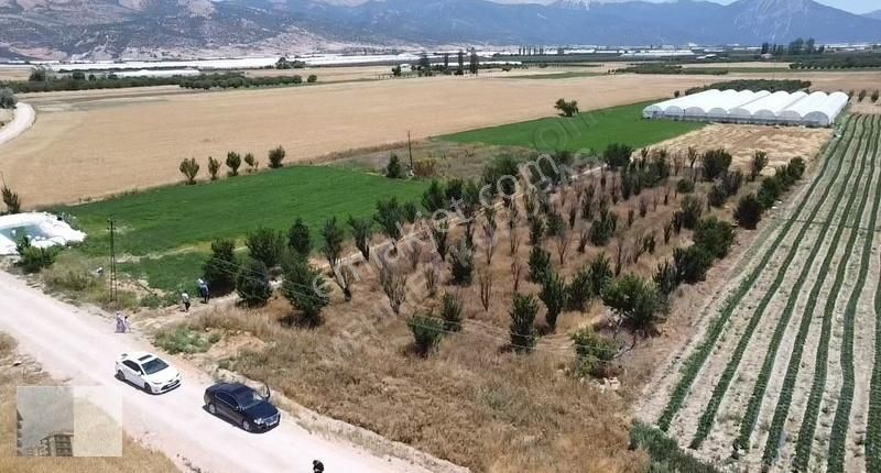 Mk Emlak'ta Bayralar Mah. 4.375 M2 Satılık Erik Bahçesi - Görsel 4