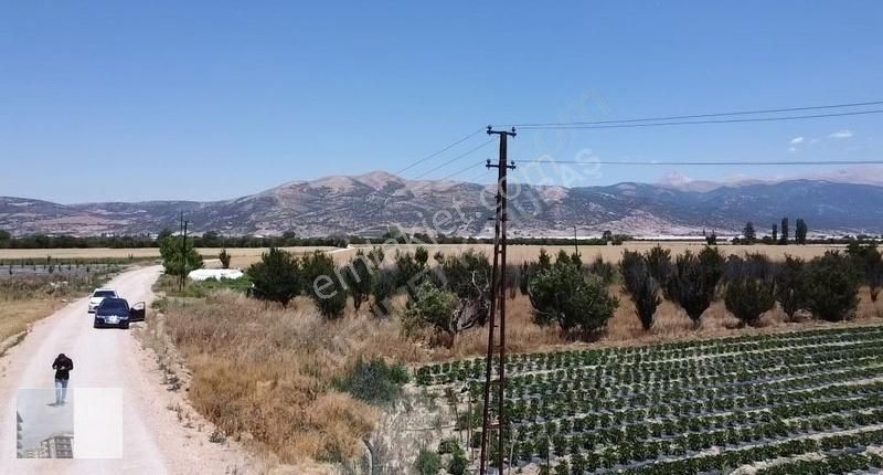 Mk Emlak'ta Bayralar Mah. 4.375 M2 Satılık Erik Bahçesi - Görsel 5