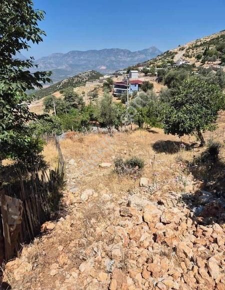 Antalya Kaş Aklar'da Satılık Deniz Manzaralı Tarla - Görsel 6