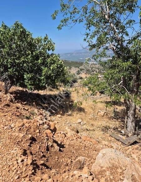 Antalya Kaş Aklar'da Satılık Deniz Manzaralı Tarla - Görsel 12