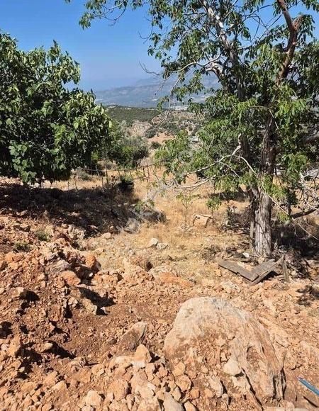 Antalya Kaş Aklar'da Satılık Deniz Manzaralı Tarla - Görsel 3