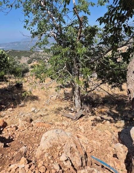 Antalya Kaş Aklar'da Satılık Deniz Manzaralı Tarla - Görsel 5