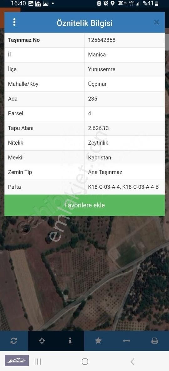 Hüma'dan Üçpınar'da Satılık Zeytinlik - Görsel 7