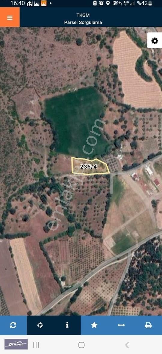Hüma'dan Üçpınar'da Satılık Zeytinlik - Görsel 3