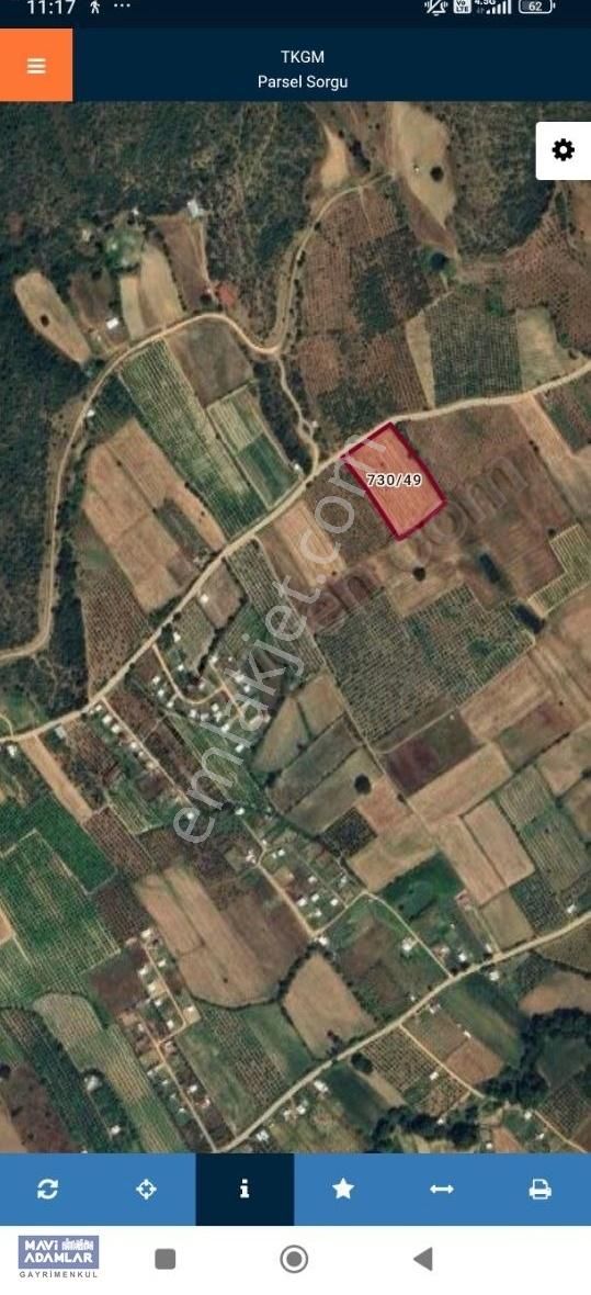 Kestel Gölcük Koyünde Asfalt Yola Cephe Arazi