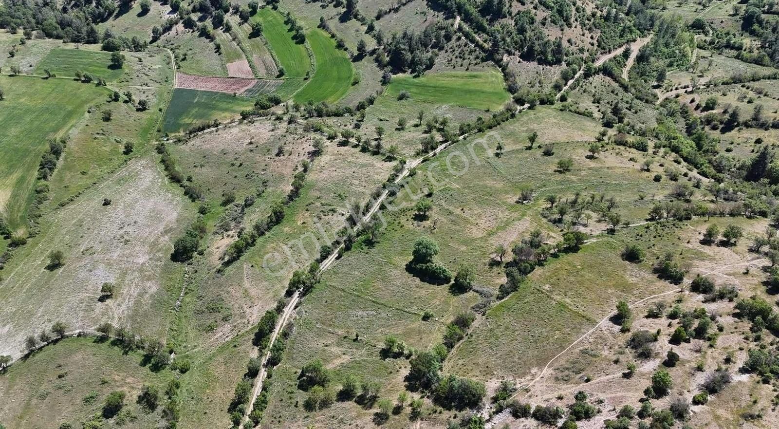 Bursa Büyükorhan 723 M2 Köy İçi Bağ - Görsel 4