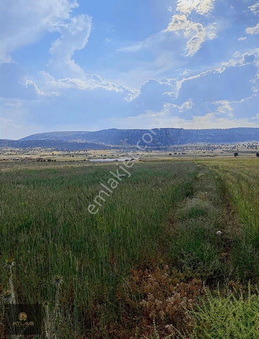 Yatırımlık Uygun Pirim Yapacak Yer