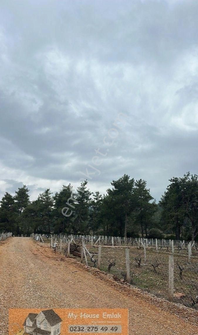 Doğa İle İçiçe İzmir Menderes Yeniköy Mah.220 M2 Hisseli Zeytinlik - Görsel 5