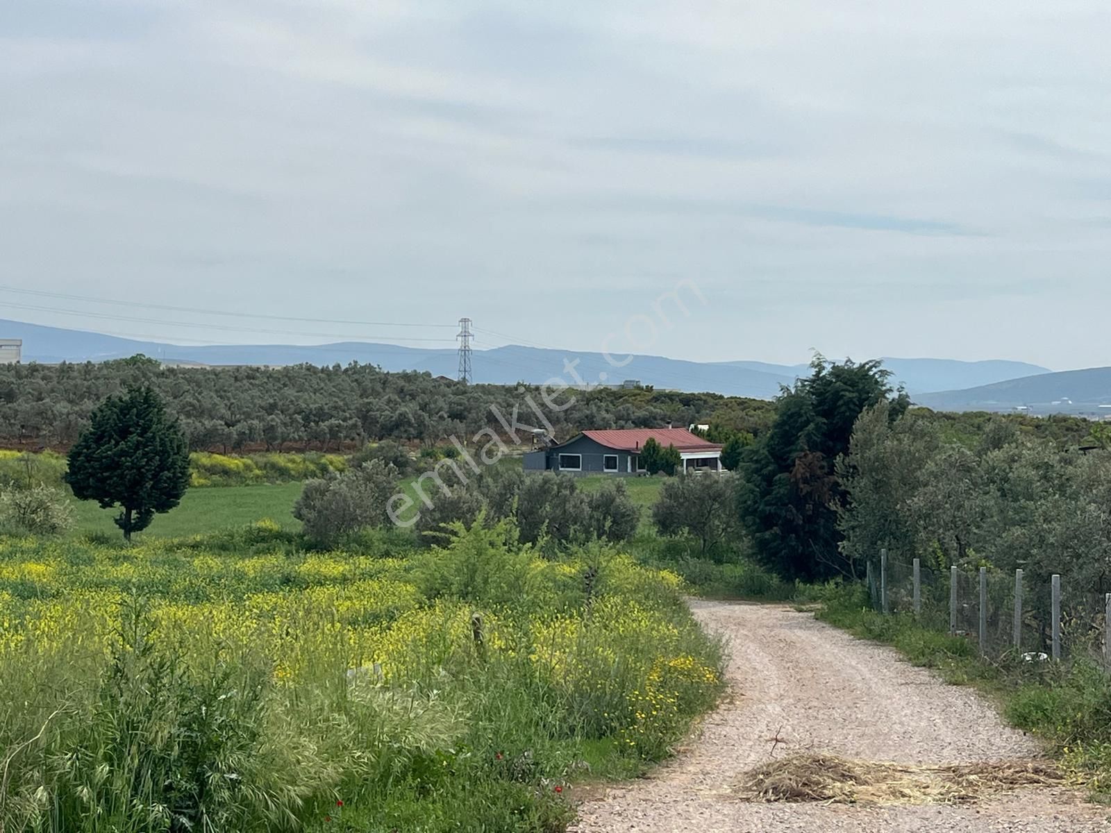 Menderes Bulgurca Mahallesinde 7540m2 Müstakil Parsel Satılık Zeytin Tarlası - Görsel 25