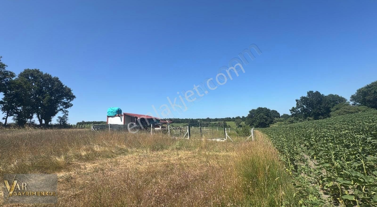 Tekirdağ Kapaklı Pınarçada Mahalleye Yakın 225m2 Hisseli Parsel