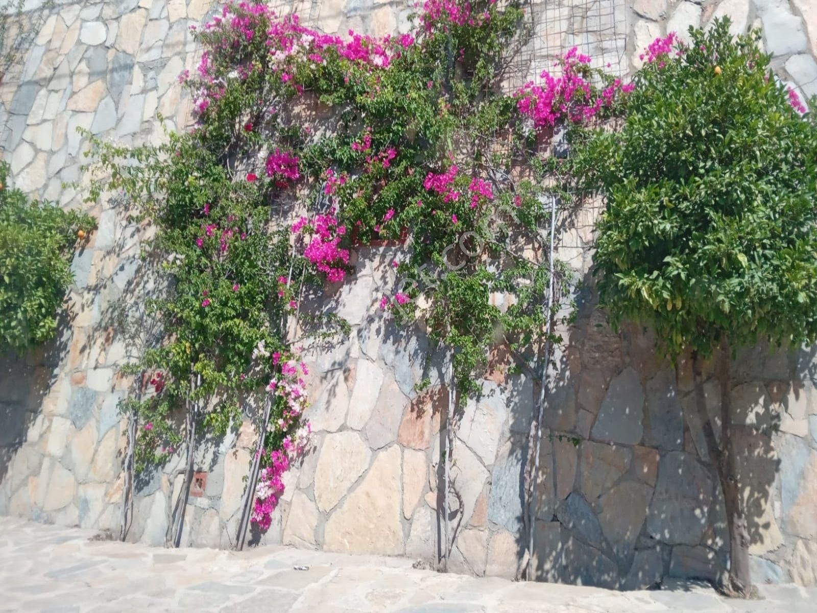 Bodrum Merkezi Konumda Ferah Bahçe Katı 2+1 Kiralık Daire