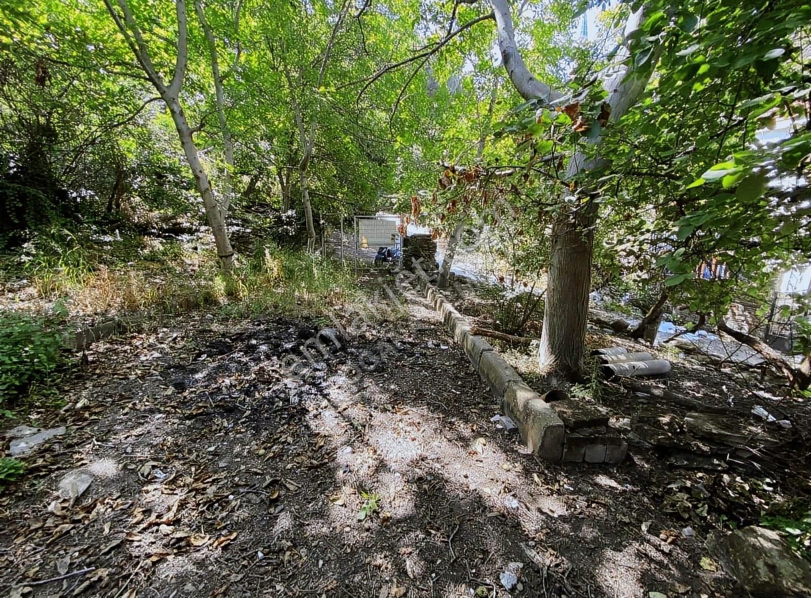 Doğanay Emlaktan İzmir Tire Kaplan Da Villa Yapımına Uygun Ev - Görsel 33