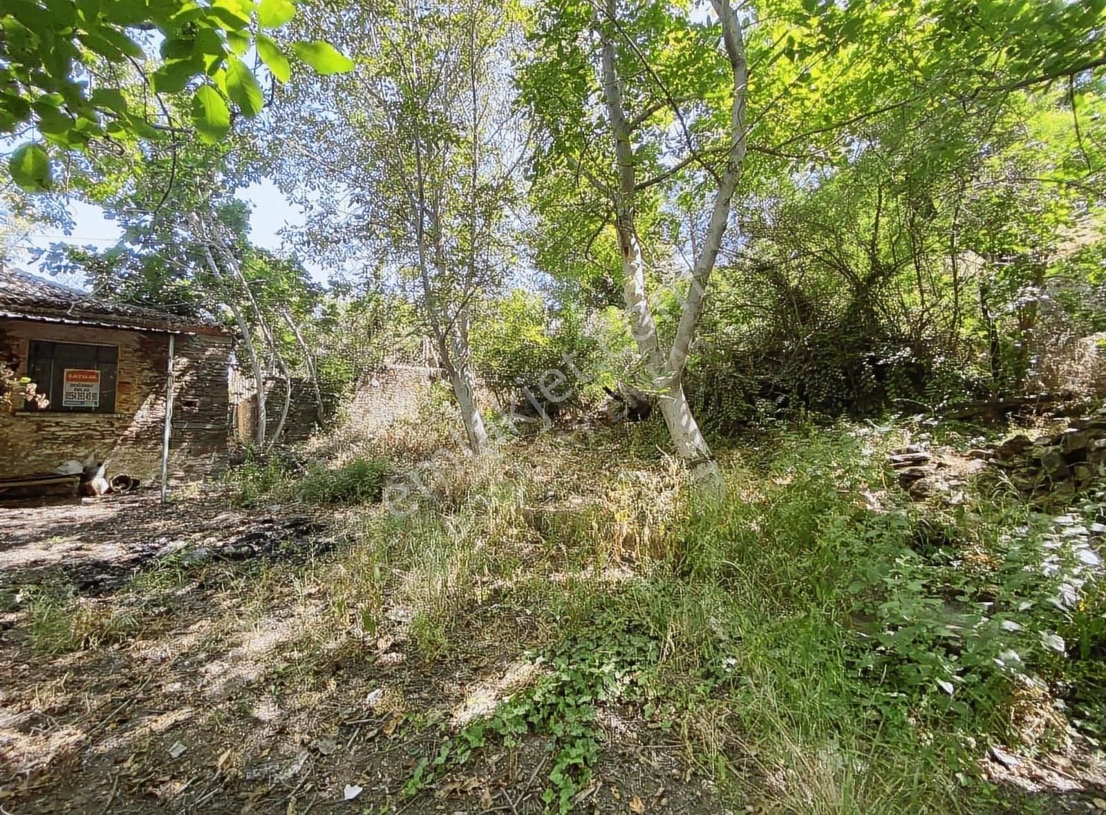 Doğanay Emlaktan İzmir Tire Kaplan Da Villa Yapımına Uygun Ev - Görsel 34