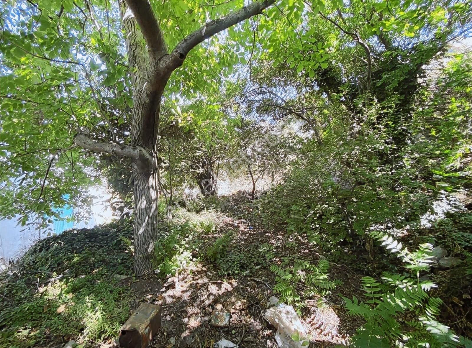 Doğanay Emlaktan İzmir Tire Kaplan Da Villa Yapımına Uygun Ev - Görsel 27