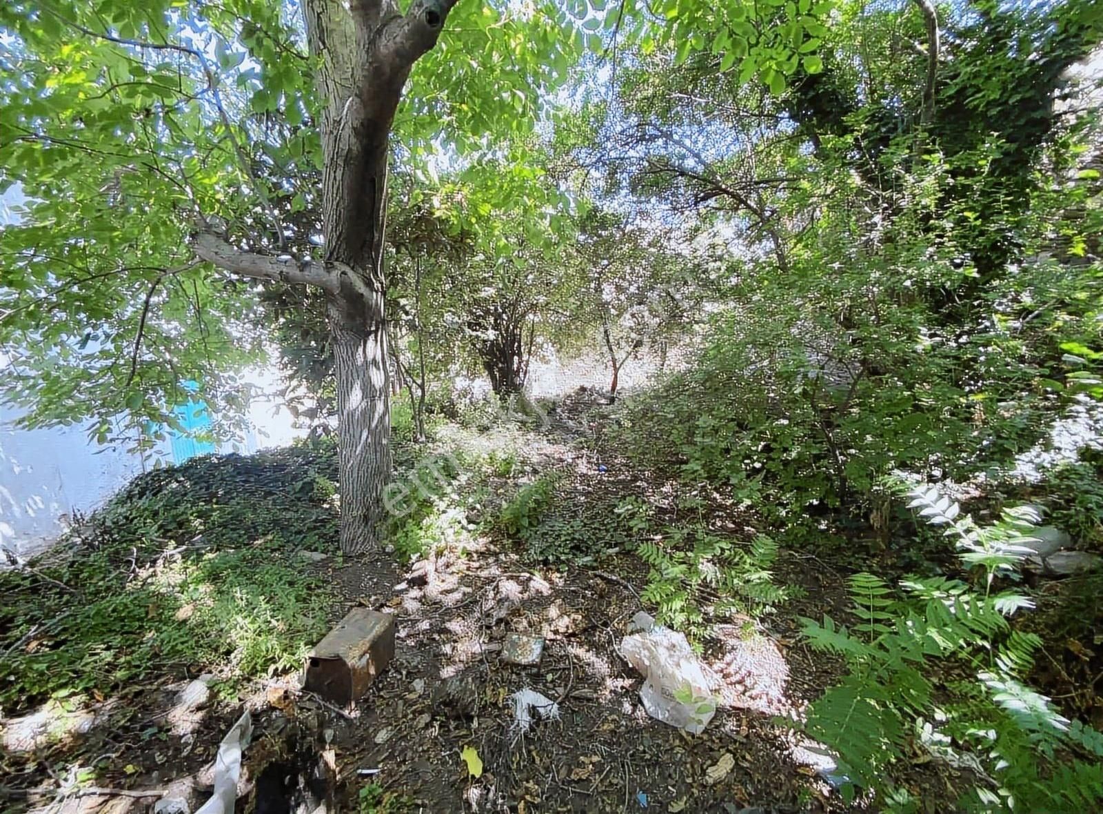 Doğanay Emlaktan İzmir Tire Kaplan Da Villa Yapımına Uygun Ev - Görsel 29