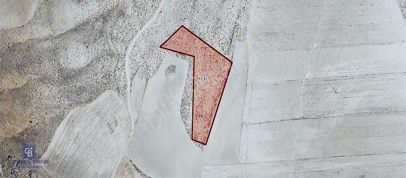 Cb Elitten Güdül Güneyce Termal Bölgeye Çok Yakın 5464 M² Tarla
