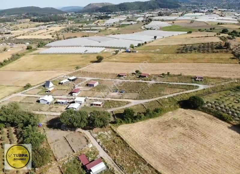 Değirmendere Köyünde 240 M2 - Elektrik Ve Su Hazır Satılık Bahçe - Görsel 16