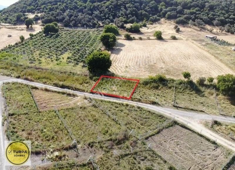 Değirmendere Köyünde 240 M2 - Elektrik Ve Su Hazır Satılık Bahçe - Görsel 25