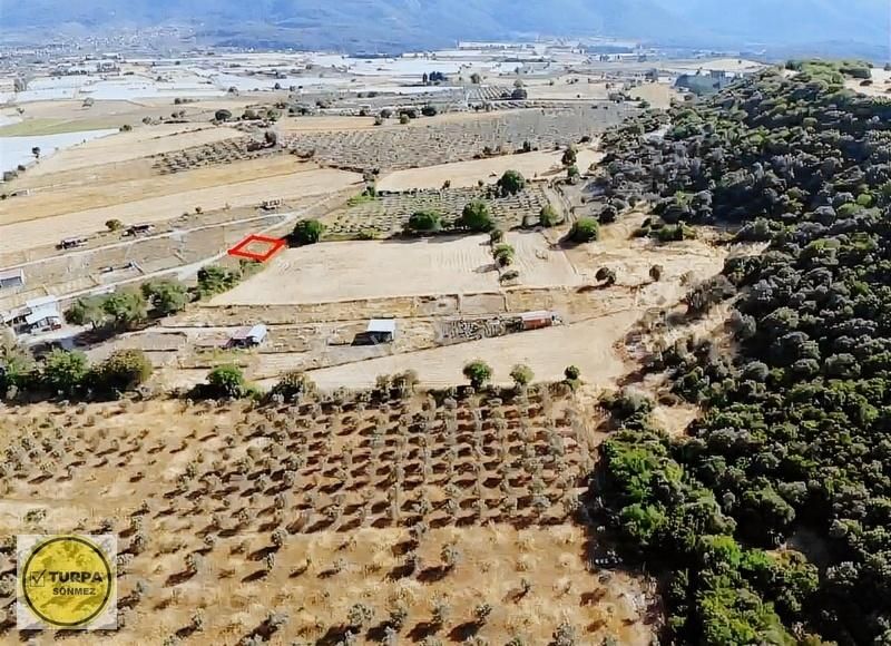 Değirmendere Köyünde 240 M2 - Elektrik Ve Su Hazır Satılık Bahçe - Görsel 34