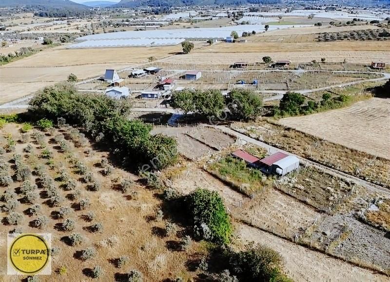 Değirmendere Köyünde 240 M2 - Elektrik Ve Su Hazır Satılık Bahçe - Görsel 4