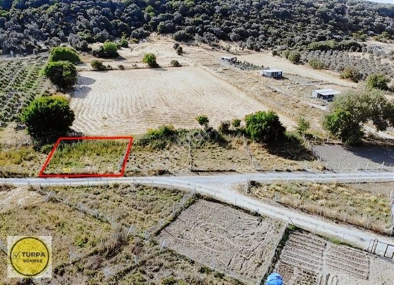 Değirmendere Köyünde 240 M2 - Elektrik Ve Su Hazır Satılık Bahçe - Görsel 17