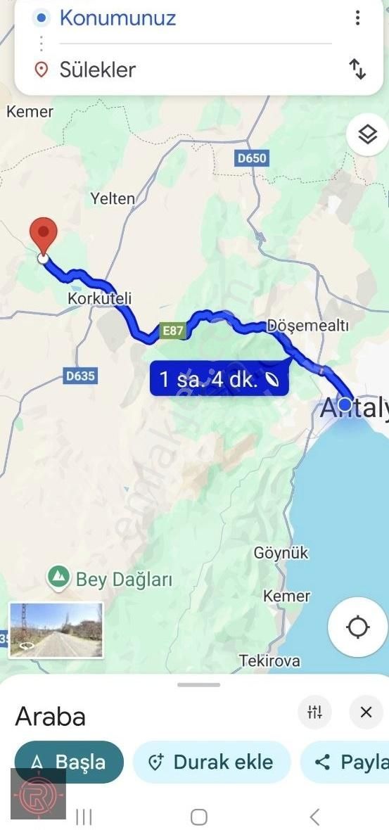 Korkutelı Sülekler