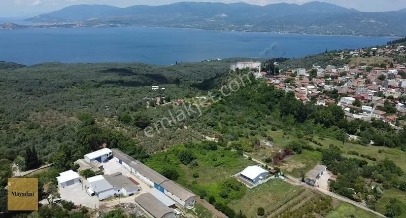 Mayadan Edincik Mah. Satılık 1000 M2 İmarlı Deniz Manzaralı Arsa