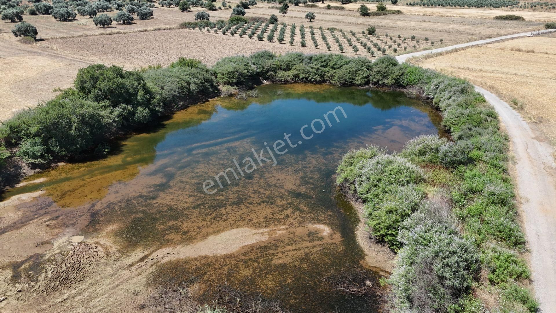 Gölovasında 3 Dönüm Gelişmiş Zeytin Ağaçlı Menderes İzmir - Görsel 34