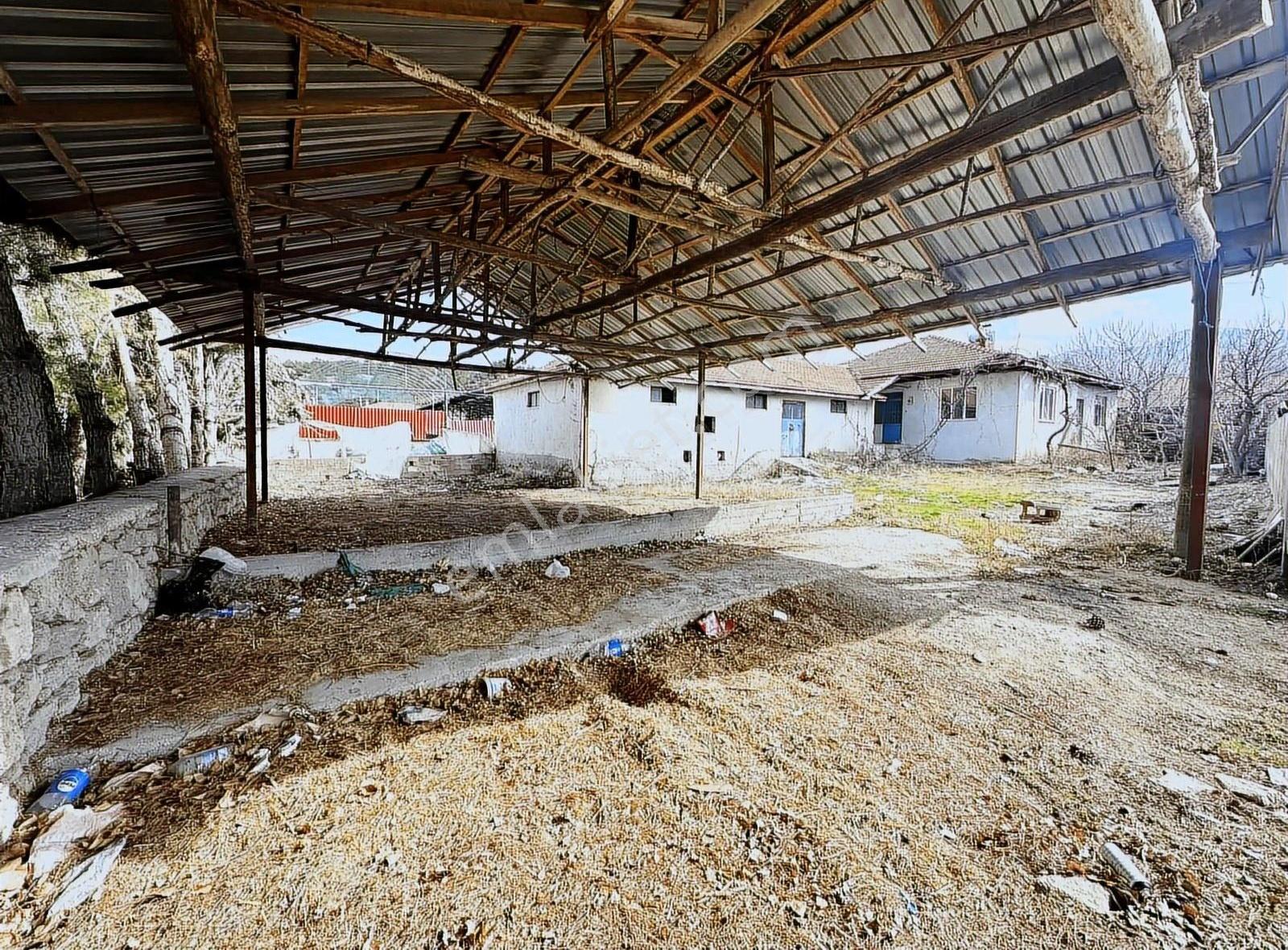 Yunus Erkan*dan Kuruçay Köyü İçinde Satılık Ev Ve Arsası - Görsel 11