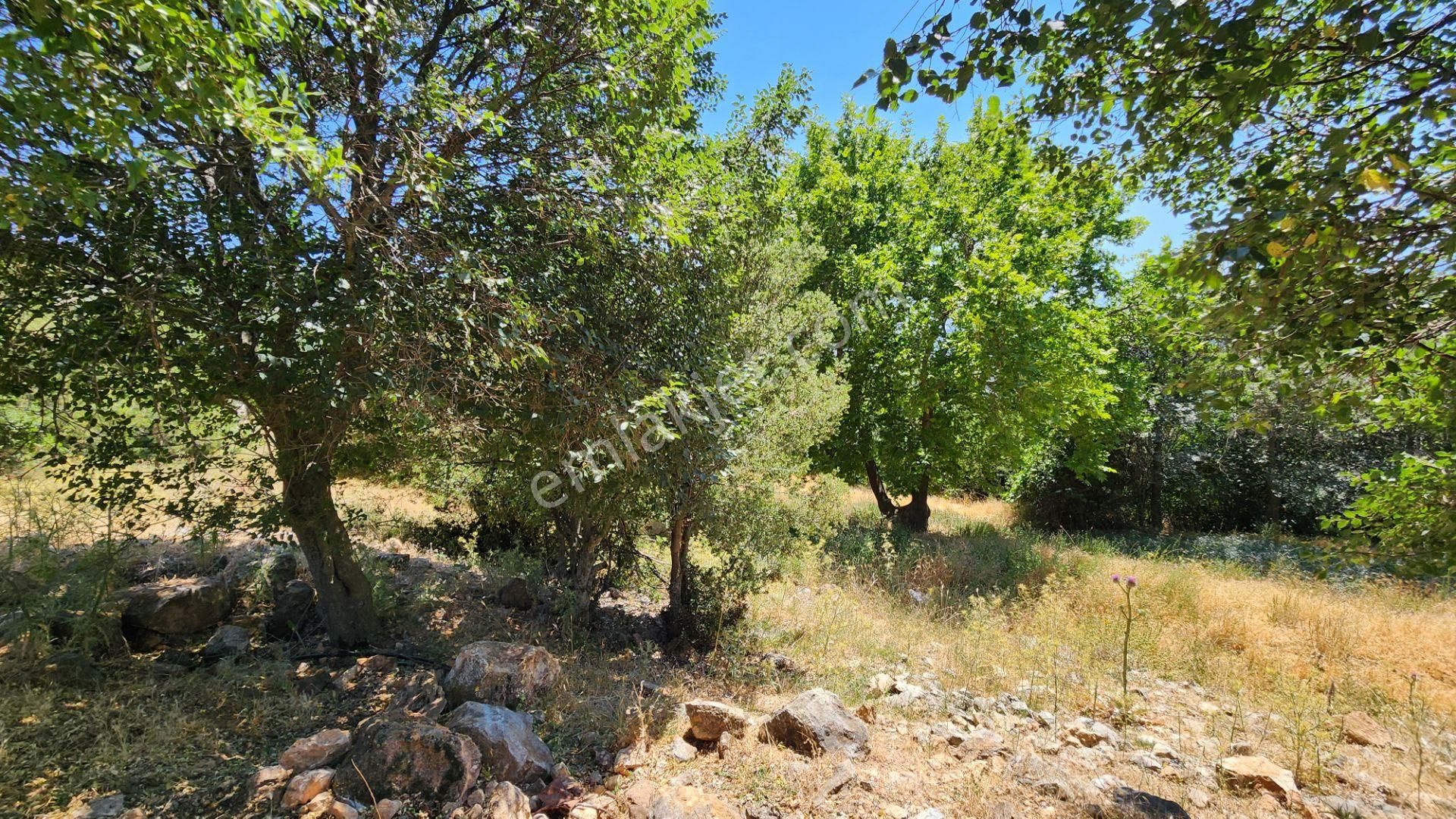 Seki Başmağar'da 457m2 %20 İmarlı Arsa - Görsel 4