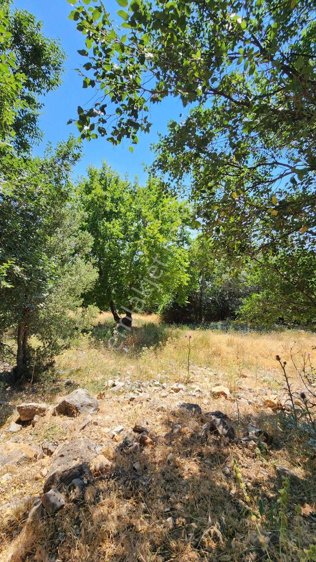 Seki Başmağar'da 457m2 %20 İmarlı Arsa - Görsel 7