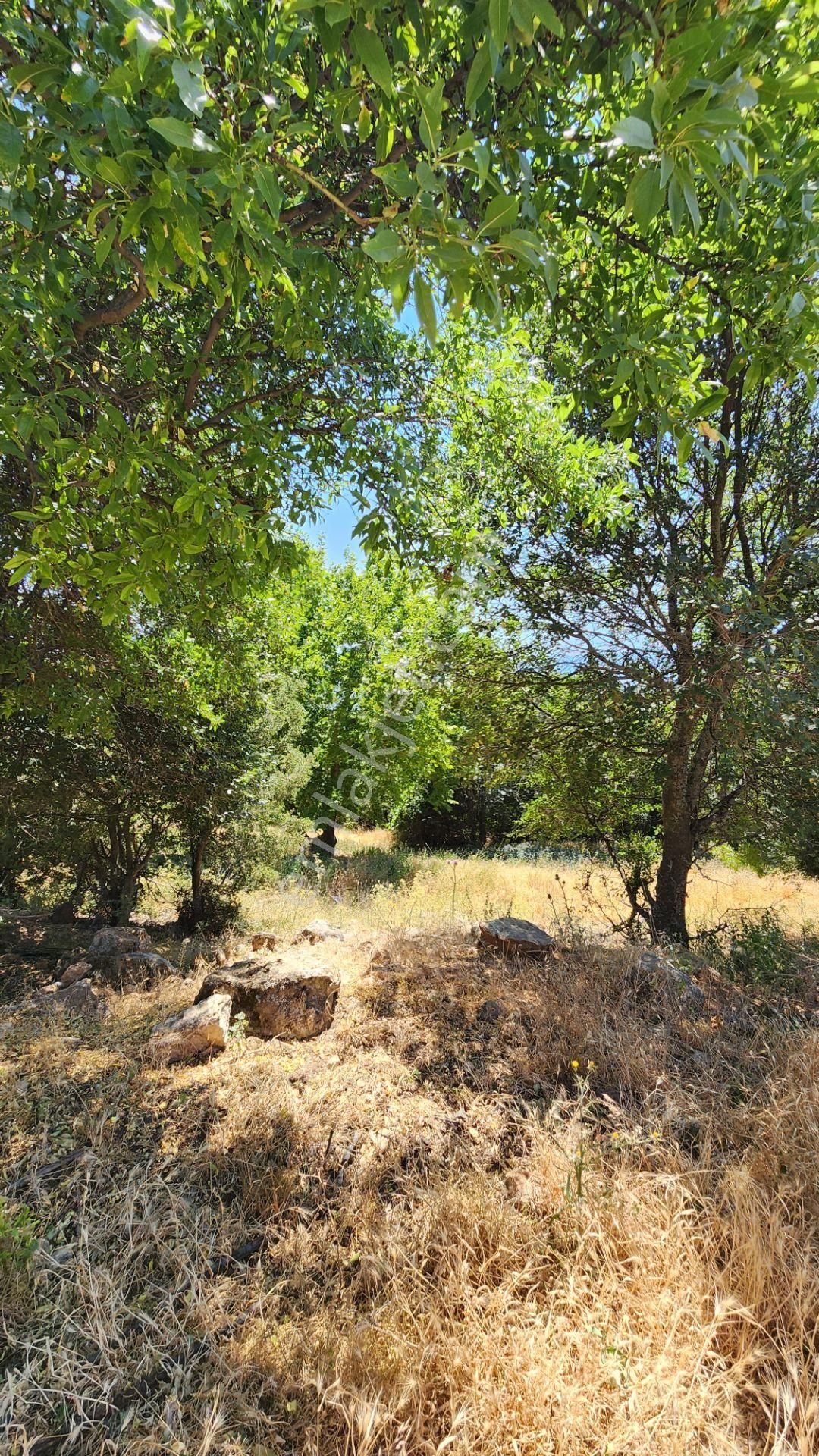 Seki Başmağar'da 457m2 %20 İmarlı Arsa - Görsel 8