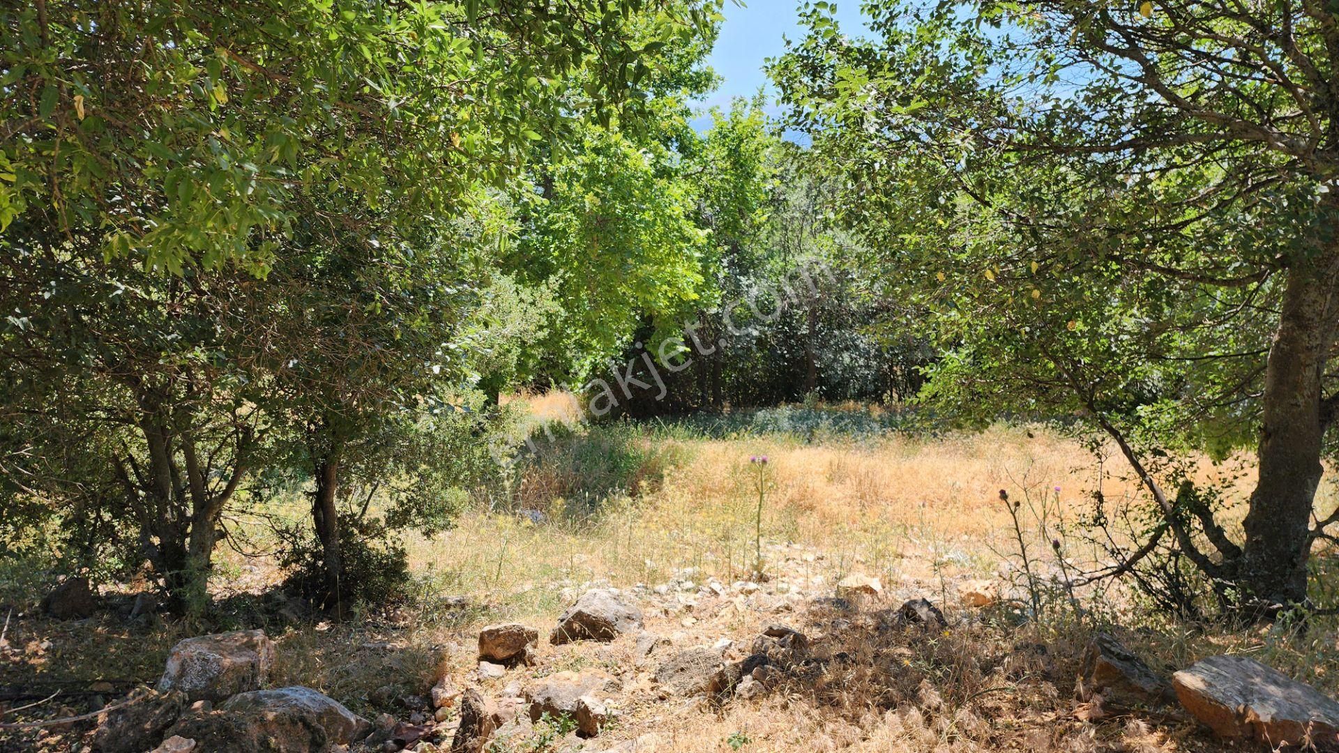 Seki Başmağar'da 457m2 %20 İmarlı Arsa - Görsel 2